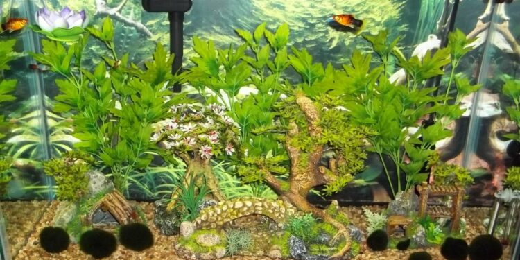 Comment augmenter le KH et GH ?