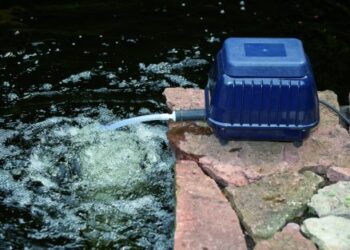 Comment avoir de l'oxygène dans un aquarium ?