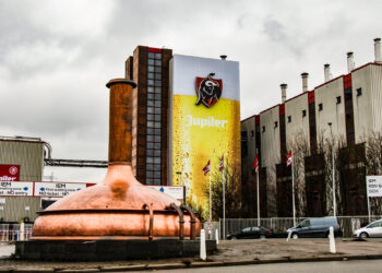 Comment avoir des bébés guppy ?