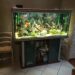Comment avoir un aquarium pas cher ?
