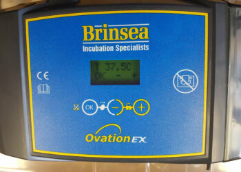 Comment avoir un bon taux d'éclosion ?