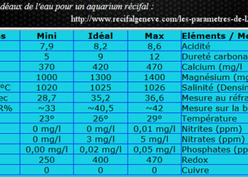 Comment avoir une bonne eau aquarium ?