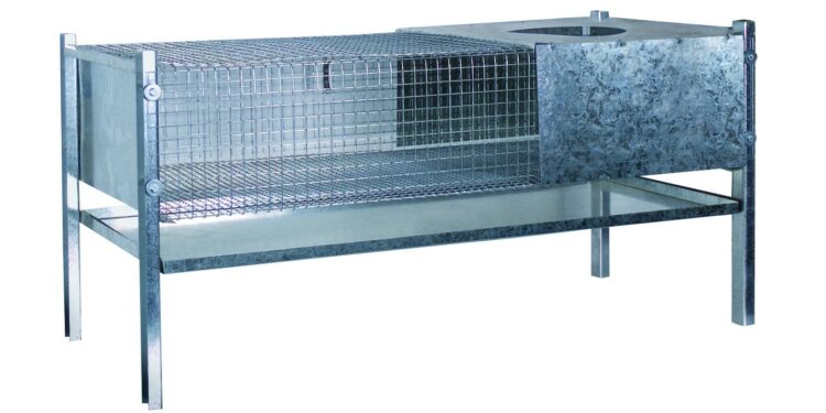 Comment bien accueillir des poussins ?