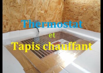 Comment bien chauffer un terrarium en verre ?