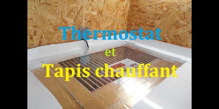 Comment bien chauffer un terrarium en verre ?