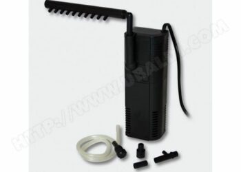 Comment bien filtrer l'eau d'un aquarium ?