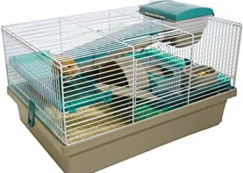 Comment bien s'occuper d'un hamster ?