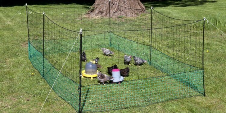 Comment bien tendre un filet ?