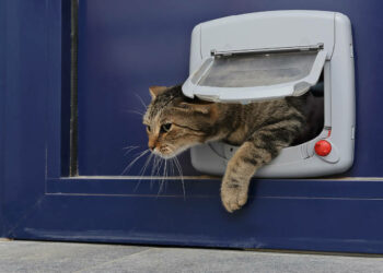 Comment boucher un trou sur PVC ?