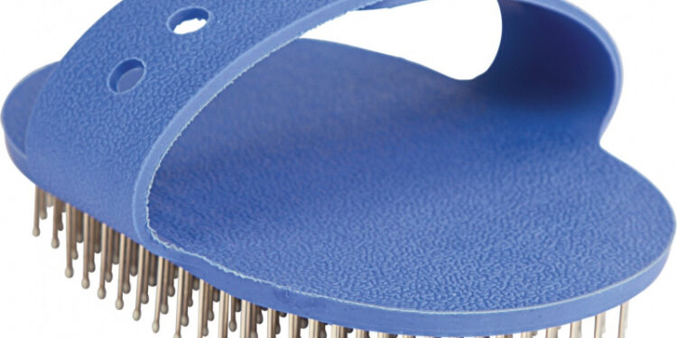 Comment brosser son chien sans lui faire mal ?