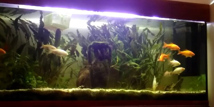 Comment calculer le nombre de litres ?