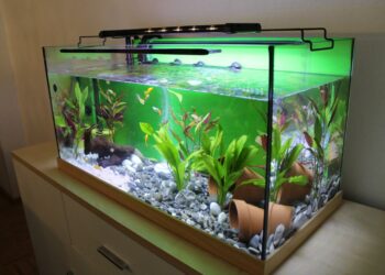 Comment calculer le nombre de litres d'un aquarium ?