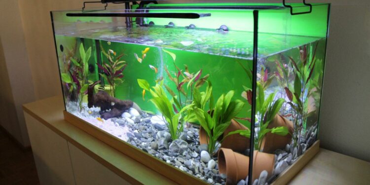 Comment calculer le nombre de litres d'un aquarium ?