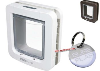 Comment calfeutrer une Chatiere ?