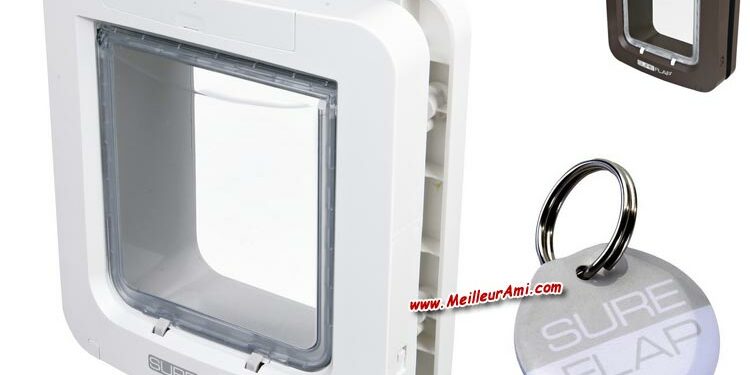 Comment calfeutrer une Chatiere ?