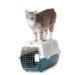 Comment calmer un chat dans une cage ?