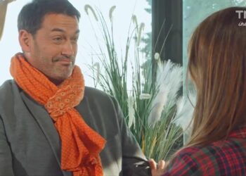 Comment calmer un chat en période de chaleur ?