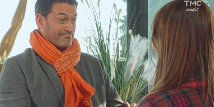 Comment calmer un chat en période de chaleur ?