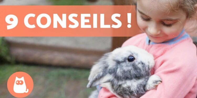 Comment calmer un lapin qui a peur ?