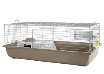 Comment changer la litière d'un lapin ?