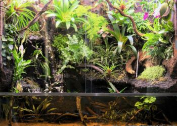 Comment chauffer son paludarium ?