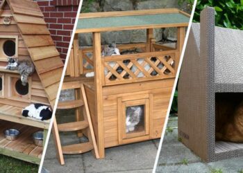 Comment chauffer un abri pour chat ?