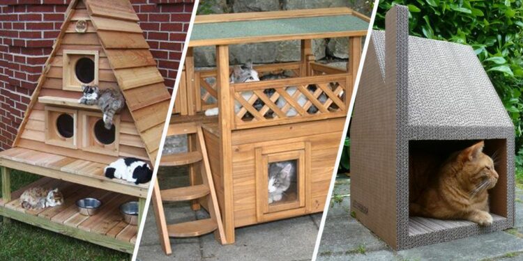 Comment chauffer un abri pour chat ?