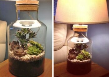 Comment chauffer un terrarium la nuit ?