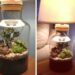 Comment chauffer un terrarium la nuit ?