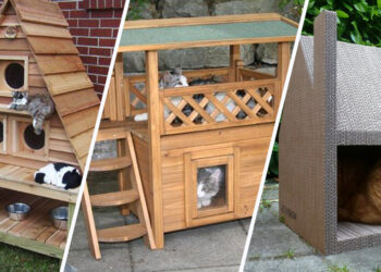 Comment chauffer une niche pour chat ?