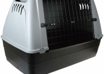 Comment choisir cage ?