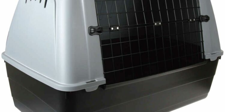 Comment choisir cage ?