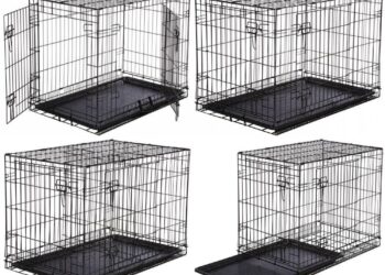 Comment choisir cage ?