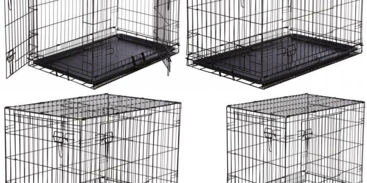 Comment choisir cage ?