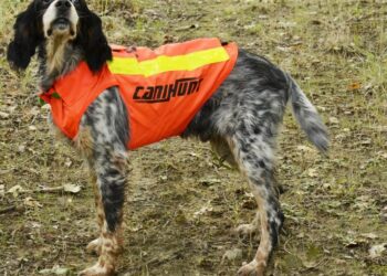 Comment choisir la taille d'un gilet ?