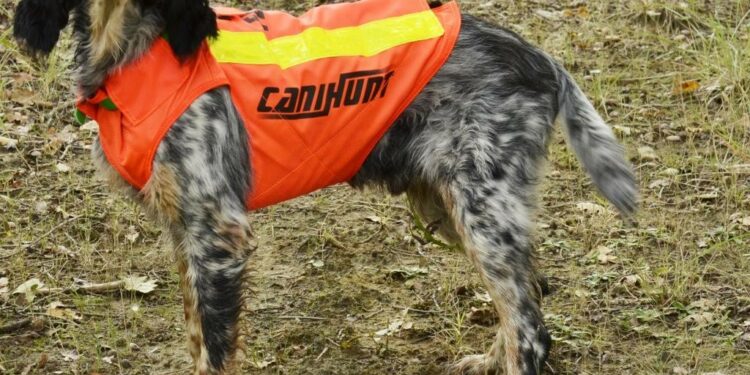 Comment choisir la taille d'un gilet ?