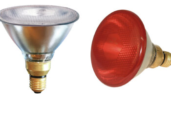 Comment choisir sa lampe infrarouge ?