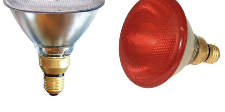 Comment choisir sa lampe infrarouge ?