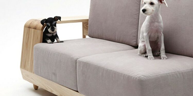 Comment choisir tapis chien ?