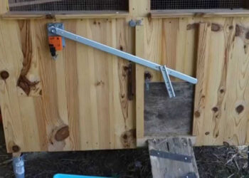 Comment choisir un bon poulailler ?