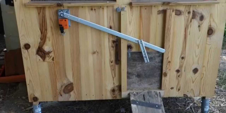 Comment choisir un bon poulailler ?