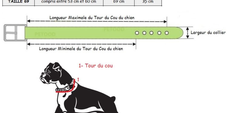 Comment choisir un collier pour son chien ?