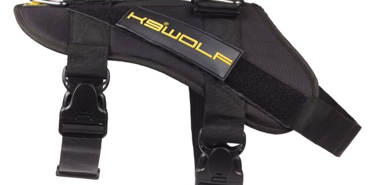 Comment choisir un harnais Julius ?