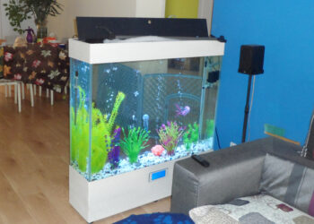 Comment choisir un petit aquarium ?