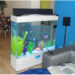 Comment choisir un petit aquarium ?