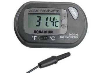 Comment choisir un thermomètre ?