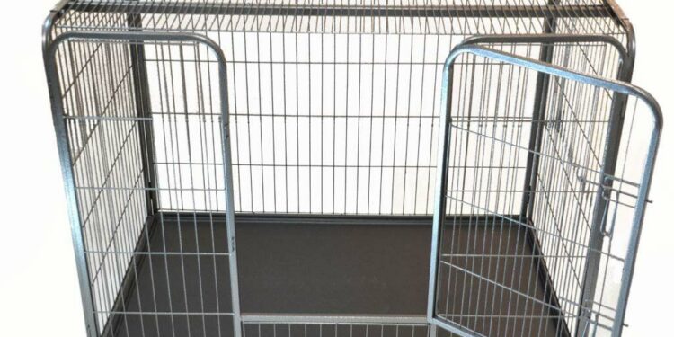 Comment choisir une cage ?