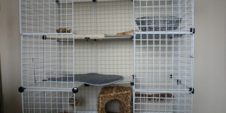 Comment choisir une cage à lapin ?