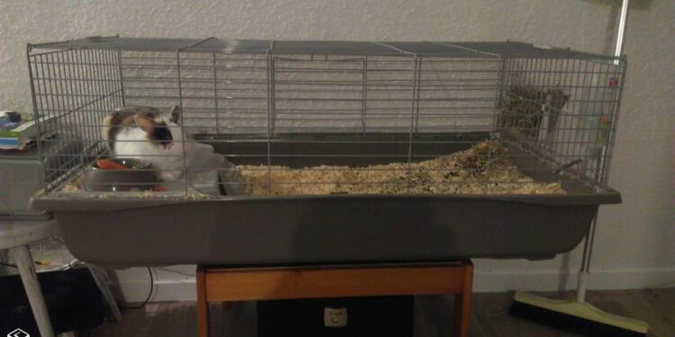 Comment choisir une cage à lapin ?