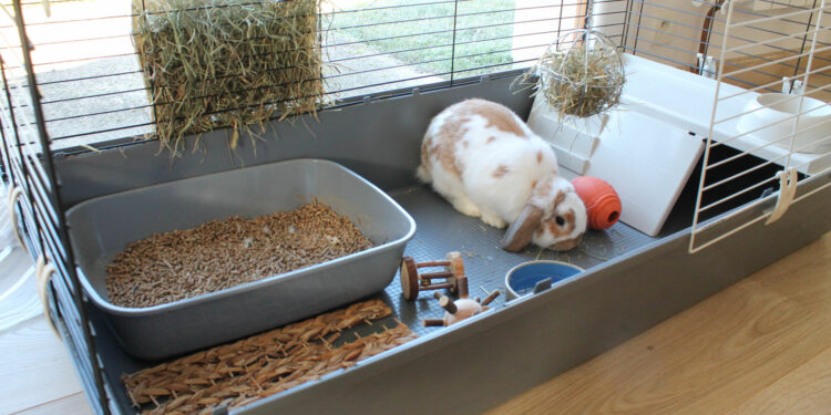 Comment choisir une cage à lapin ?